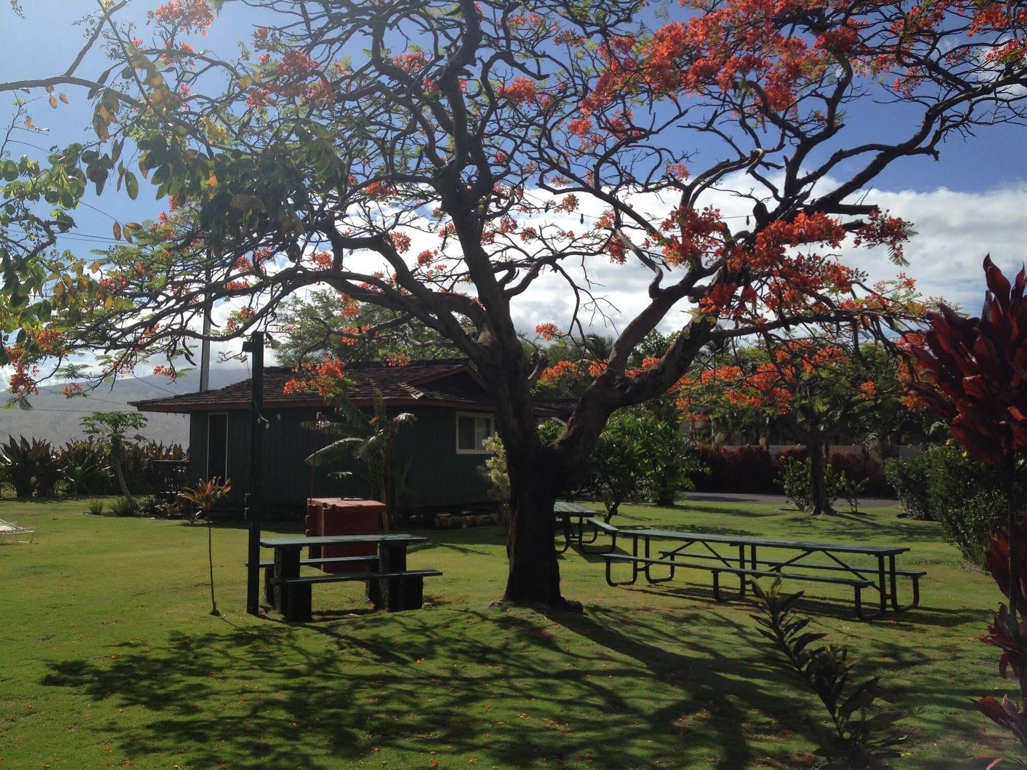 Nona Lani Cottages Kihei Exterior photo